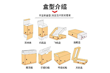盒型介紹